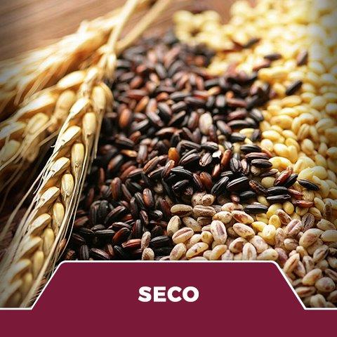Seco